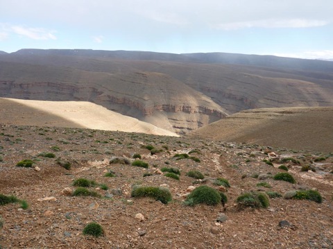 20100416-180335