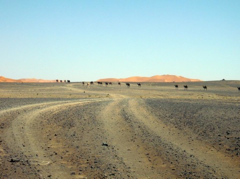 20100417-155235